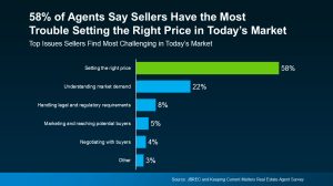 Graph that states 58% of agents say that sellers have the most trouble setting the right price in today's market. 